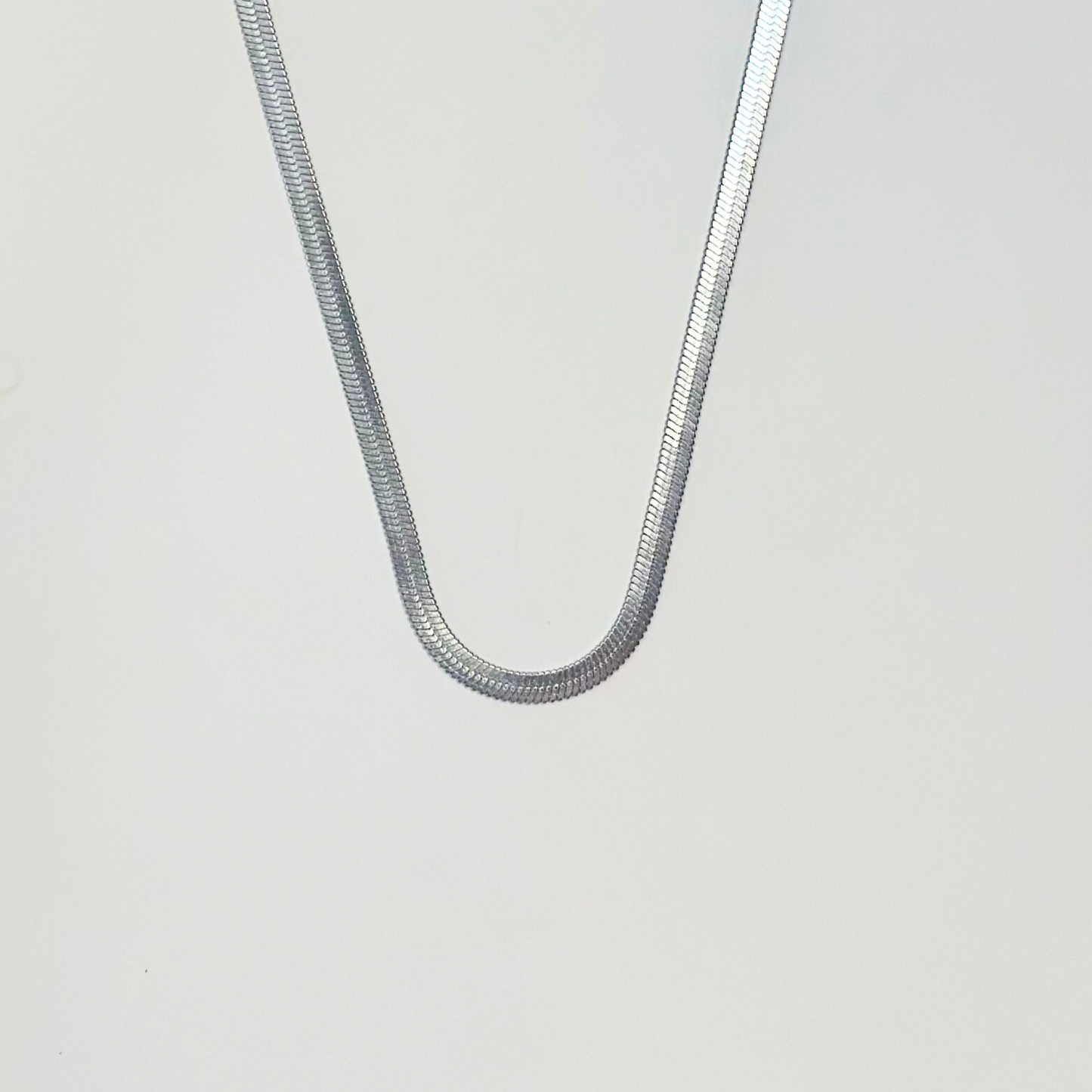 Snake Necklace with Heart Charm
