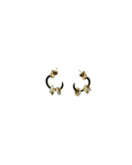 Charm Earrings in Gold